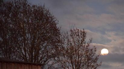 Bild: bö
Und plötzlich ist er da, der Vollmond nach den nebelverhangenen Tagen der vergangenen Woche. Gespenstisch wirft er seinen langen Schatten über eine alte Feldscheune und sein kaltes Licht verheddert sich wie dünne, helle Fäden im Geäst der einsamen Laubbäume.