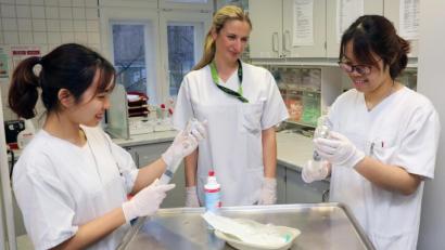 Bild: Symbolbild Bernd Wüstneck/dpa
Vietnamesische Pflegekräfte in der Ausbildung.