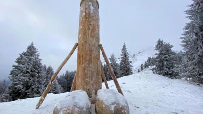 Bild: Davor Knappmayer/dpa
Eine etwa zwei Meter hohe Phallus-Skulptur aus Holz steht auf dem Berg Grünten.