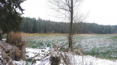 Bild: do
Der Schneidweiher soll künftig als Hochwasserrückhalt dienen. Eine Dammverstärkung soll einen weiteren Dammbruch wie links im Bild verhindern.
