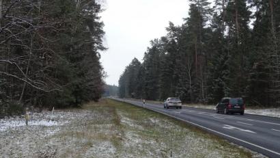 Bild: Houschka
Mit einem lang erwarteten Lückenschluss kann nun wohl begonnen werden:
Parallel zur Staatsstraße 2151 soll zwischen Freihöls und der Abzweigung zu der nach Högling führenden Kreisstraße das letzte Teilstück eines von Schwarzenfeld nach Amberg führenden Radwegs entstehen. Er verläuft dann (links im Bild) entlang eines zusammenhängenden Waldstücks.