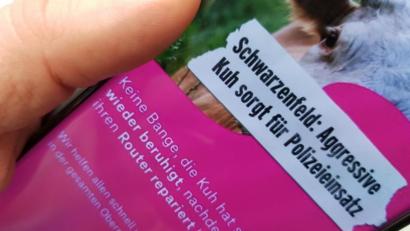 Bild: mp
Seltsame Werbung: War lustig gemeint, hat aber außer acht gelassen, dass die zugrunde liegende Angelegenheit ziemlich blutig endete und sich die Kuh eben nicht „wieder beruhigt“ hat.