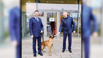 Bild: Polzeipräsidium Regensburg
Polizeihund Ratz hat für seine Arbeit eine Belohnung erhalten.