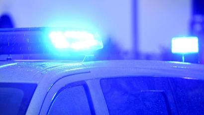 Symbolbild: Carsten Rehder/dpa
Polizeihund "Jimmy" hat im Landkreis Freyung-Grafenau einen vermissten Mann gefunden.