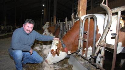 Bild: gsp
Seine Rinder sind Helmut Graf ans Herz gewachsen, er kämpft um den Erhalt seines Betriebes.