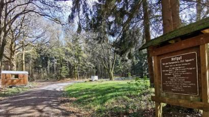 Bild: gz
Auf dem Stangenberg befand sich vor 460 Jahren ein Hofgut.