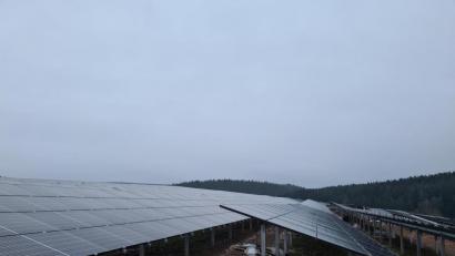 Bild: sne
Bei Riggau stehen schon die PV-Module. Der Solarpark wurde schnell umgesetzt.
