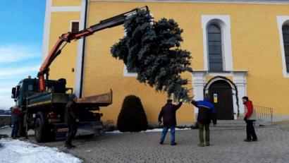 Bild: soj
Der Christbaum für die Pfarrkirche St. Ägidius Ebnath hat noch ein paar beschwerliche Meter vor sich. .