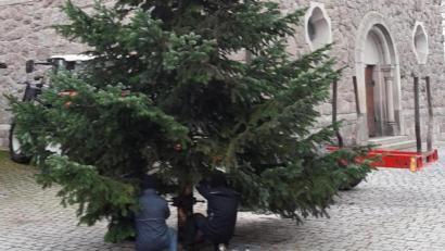Bild: wro
Mitglieder des OWV kümmerten sich um das Aufstellen des Weihnachtsbaumes.