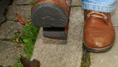 Archivbild: tr
Hundehaufen auf Wegen – wie hier auf dem Symbolbild – sorgen in Pleußen für Ärger.
