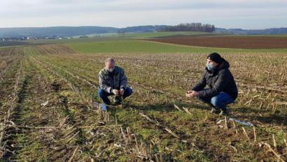 Bild: fvo
Landwirt Georg Bocka (links) und Martin Schreyer vom AELF Weiden inspizieren das Demofeld des Landwirts und die Untersaat.