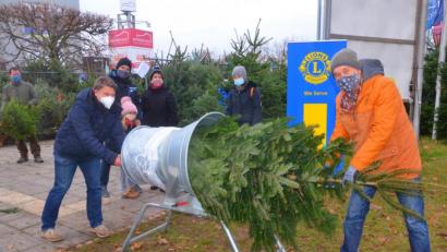 Bild: Kunz
Weihnachtsbaumverkauf für den guten Zweck.