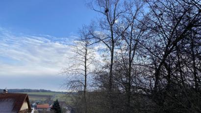 Bild: Eichl
In der Fliederstraße stören nicht zum ersten Mal Bäume der hohen Allee zum Fernsehturm hinauf. SPD-Sprecher Josef Herrlein macht sich zum Fürsprecher der Bäume: "Immer diese Fällerei", kritisiert er.