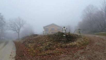 Bild: BN Ortsgruppe Tännesberg/exb
An dieser Böschung in der Kleinschwandner Straße in Tännesberg sind zumindest teilweise unrechtmäßig rund 50 Meter Heckengebüsch und ein Baum entfernt worden.