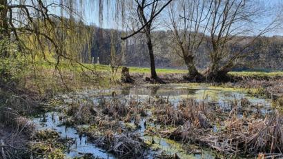 Bild: Christopher Trepesch/exb
Ein Hüllweiher im Gemeindegebiet Ursensollen