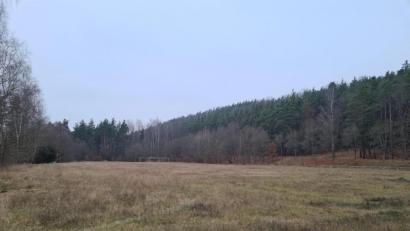 Bild: sne
Die Tage, an denen hier gekickt wurde, sind lange vorbei. Der Stadtrat diskutiert, ob aus dem ehemaligem DJK-Fußballplatz ein Baugebiet werden soll.