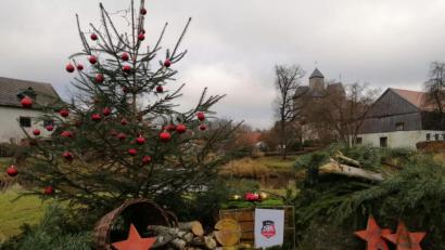 Bild: Heidi Gleißner/DJK Falkenberg/exb
Blick auf den von der DJK Falkenberg liebevoll gestalteten Beitrag zum Lebendigen Adventskalender.