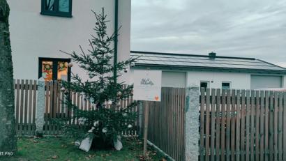 Bild: twg
Ein wunderschöner Weihnachtsbaum steht vor dem Kinderhaus in Pullenreuth, daneben ein Schild mit den Weihnachtswünschen für alle Kinder und ihre Familien.