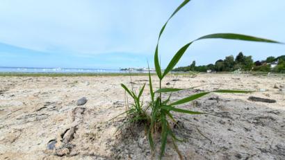 Bild: Felix Kästle
Auch in der Oberpfalz wird der Boden zunehmend trockener.