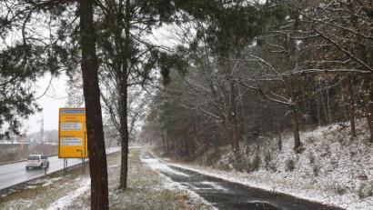 Bild: Gabi Schönberger
Den Wald im Weidener Westen will das Aktionsbündnis retten. Dazu ruft es die Stadt zur interkommunalen Zusammenarbeit auf.