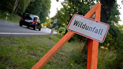 Symbolbild: Susann Prautsch/dpa
Ein Schild weist am auf einen Wildunfall hin (Symbolbild). Bei Ursensollen ist gerade ein solche Unfall glimpflich, wenn auch nicht ohne Schaden, ausgegangen.