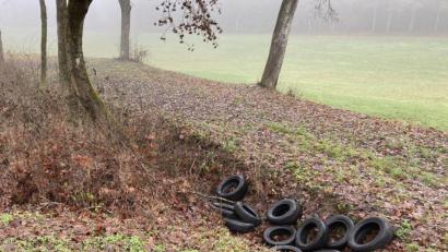 Bild: Polizei Eschenbach
Einen Haufen Altreifen hat ein Unbekannter am Parkplatz Sommerau an B 470 nahe Kirchenthumbach abgeladen.
