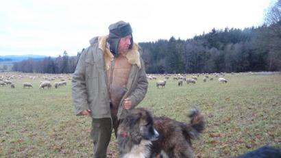 Bild: amö
Paul Panko mit seinen Helfern, von rechts ein Arbeits- und Aufpasshund und ein Herdenschutzhund für die Nacht