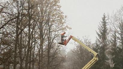 Bild: exb
An manchen Bäumen auf dem Areal der Neuen Mitte in Ebermannsdorf brauchte es einen Schnitt, andere tote Gewächse mussten entfernt werden.