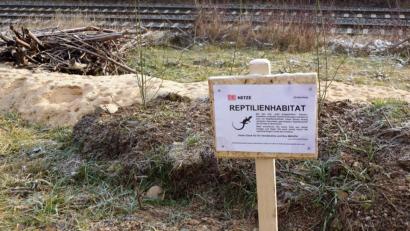 Bild: bkr
Zwei dieser Reptilienhabitate sind auf der kleinen Freifläche zwischen Hutweg und Bahnanlage zu finden.