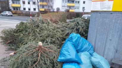 Archivbild: tk
Diese Aufnahme entstand am 11. Januar 2020 an der Merianstraße in Amberg. Deutlich sind die Unmengen von Weihnachtsbäumen zu sehen, die verbotenerweise dort abgelegt werden, wo ansonsten Grüngutcontainer stehen.
