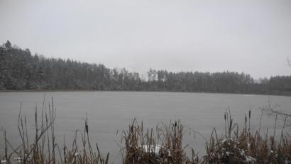 Bild: as
Der Englmannsteich, gegenüber der Schmelitz nur durch eine dichte Baumreihe getrennt direkt am Vizinalbahnradweg gelegen, rückt ganz nah ans geplante Industriegebiet heran.