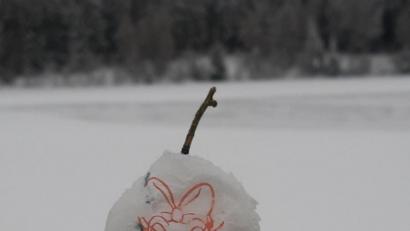 Bild: gis
Daisy am Fichtelsee