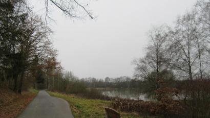 Bild: kgg
In diesem Bereich, beim Großen Kuglerweiher in der Nähe der Lourdesgrotte und des Mitterhofs, soll ein Aussichtspunkt entstehen.