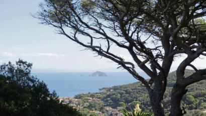 Bild: Florian Sanktjohanser/dpa
Über Cavo blickt man auf die winzige Isola dei Topi, die Mäuseinsel.