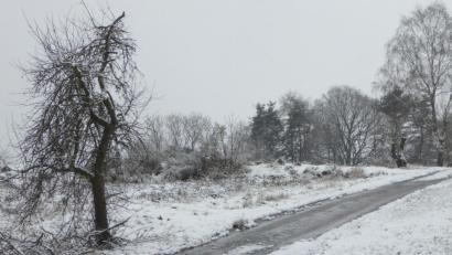 Bild: fsb
Feldgehölze entlang des Naturerlebnisweges wurden zur Wegseite hin nicht fachgemäß zugeschnitten.