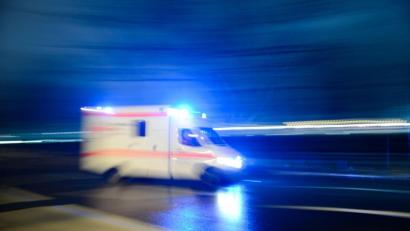 Bild: Lukas Schulze/dpa
Bei einem Kutschunfall wurde ein Mann schwer verletzt, zwei Pferde starben.