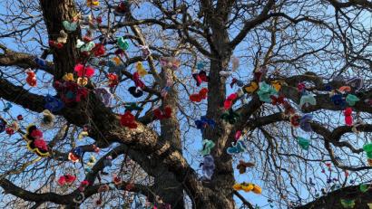 Bild: eik
Knapp 3000 Schmetterlinge flattern jetzt mitten in Stuttgart: 32 Kreative aus ganz Deutschland haben sie gehäkelt - als Lichtblick in der Pandemie. Die Oberpfalz ist auch vertreten.