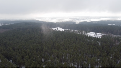 Bild: Gustl Beer
Blick über das winterlich angehauchte Waldgebiet in Weiden-West hinüber nach Neunkirchen.