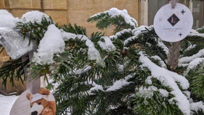 Bild: Verena Fitzgerald
Viele Abstimmungsteilnehmer fanden diesen Baum am schönsten. Wohl auch wegen des Teddy-Patienten, der Kindern Trost spendet..