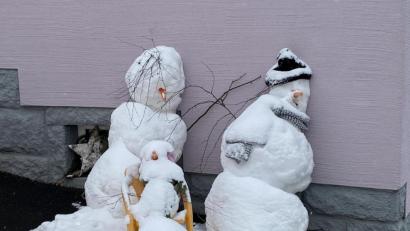 Bild: dob
Der Künstler erschuf gleich eine ganze Schneemannfamilie in der Wittschauer Straße in Vohenstrauß. Ob Mütze und Schal vor zu viel Sonne schützen, bleibt abzuwarten. Lustig anzuschauen sind sie auf jeden Fall die wackeren Gesellen. Vom frischen Schnee leicht überzuckert überstehen sie vielleicht die nächsten Tage tapfer.