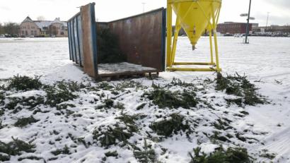 Bild: Gerhard Franz
Auf dem Dultplatz in Amberg können Christbäume in diesen Container geworfen werden.