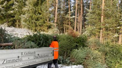 Bild: jma
Am alten Schrottplatz konnten die Weihnachtsbäume gelagert werden, bevor sie verbrannt werden.