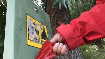 Archivbild: Gabi Schönberger
Was soll in Kohlberg mit den Hundekot passieren? Darüber diskutierte der Marktrat nun.