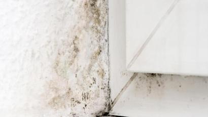 Bild: Andrea Warnecke/dpa
Rund um das Fenster - gerade wenn es in einer Nische eingebaut wurde - droht im Winter Schimmel.