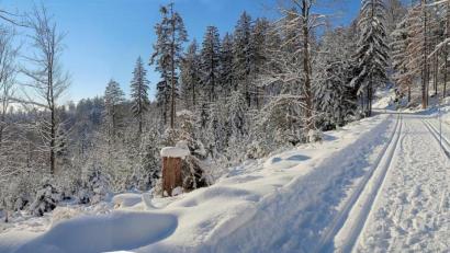 Bild: bsc
Traumhafte Bedingungen herrschen derzeit im Netz der Steinwaldloipe. In der freien Natur sind dabei die Corona-Regeln für Skilangläufer und Winterwanderer leicht einzuhalten.