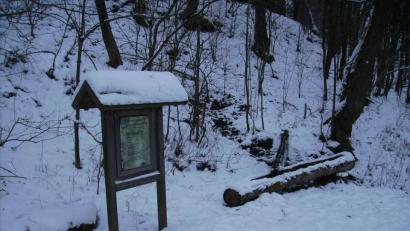 Bild: bjp
Einst diente die Brunngassquelle bei Altendorf als Trinkwasserquelle, Viehtränke, Waschplatz, Kühlmöglichkeit für Lebensmitel sowie zur Wiesenbewässerung. Seit 1939 ist sie als Naturdenkmal anerkannt. Mit Hilfe eines Landeszuschusses könnte hier eine Kneippanlage entstehen.
