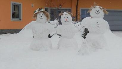 Bild: Jochen Weidner/exb
In Pullenreuth steht gleich eine ganze Schneemannfamilie.