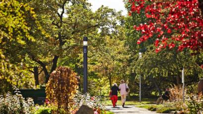 Bild: Kur- und Tourismusbetrieb Bad Wo·rishofen/dpa-tmn
Besucher im Kurpark in Bad Wörishofen - der Kurort wuchs mit dem Kneipp-Tourismus.