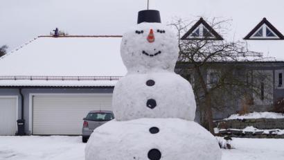 Bild: du
Ein riesengroßer Schneemann mit 4,20 Metern Höhe und 2,50 Metern Breite steht auf dem Betriebsgelände der Schirmitzer Firma Holzbau Koller an der Naab.