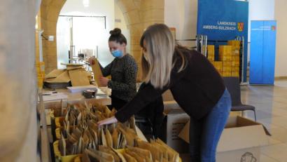 Bild: Christine Hollederer
Anna-Lena Hörl (links) und Julia Christl sind zwei der fleißigen Helfer im Landratsamt, die derzeit Masken und Anschreiben in Kuverts verpacken und die Briefe an besonders bedürftige Menschen im Landkreis Amberg verschicken.